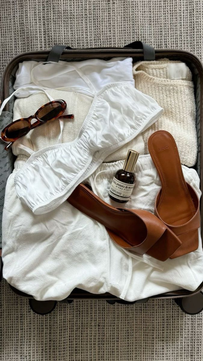 Valise de vêtement