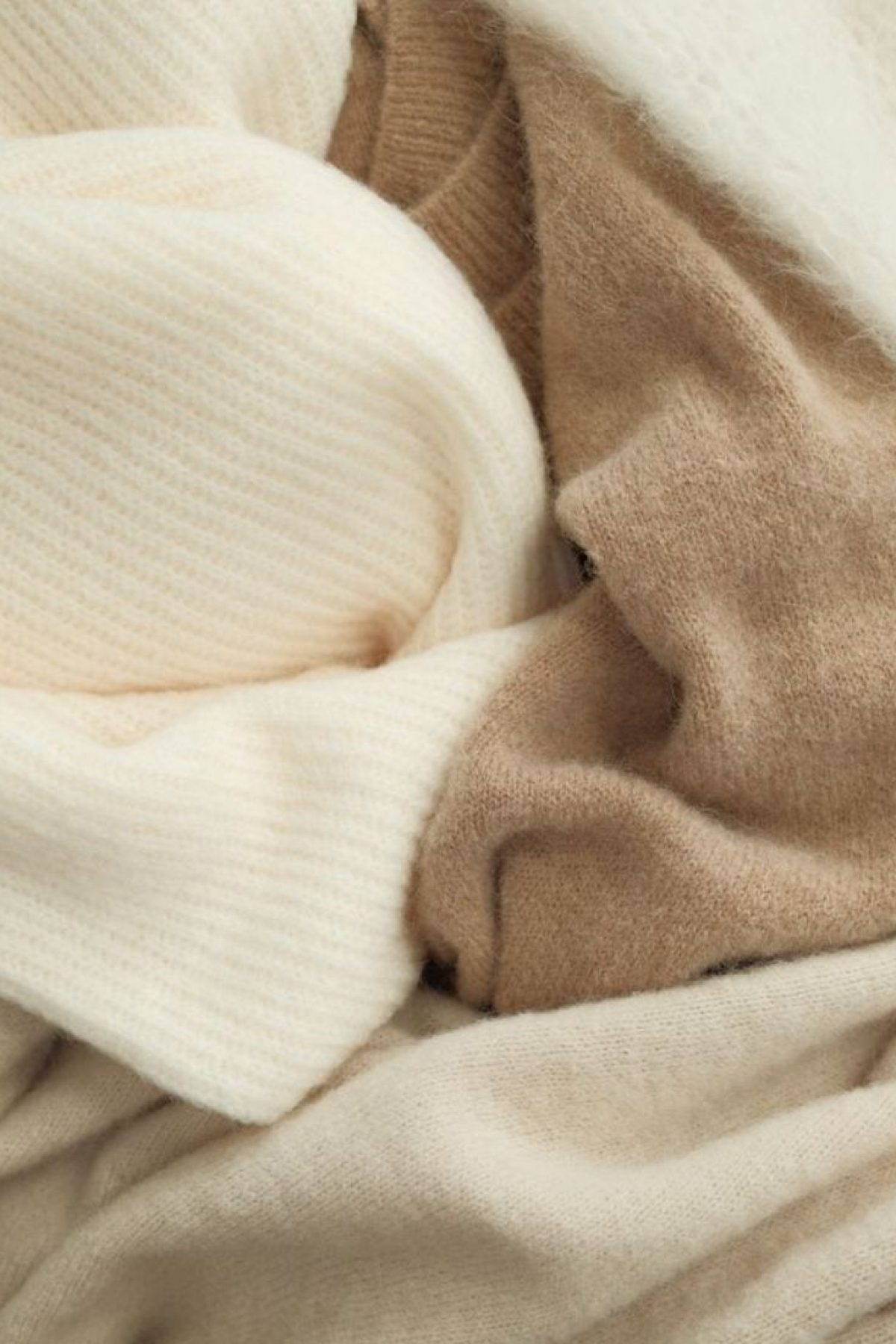 PHOTO ARTICLE (5)